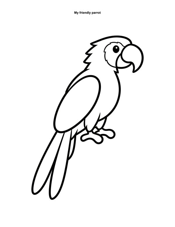 Free parrot colouring page